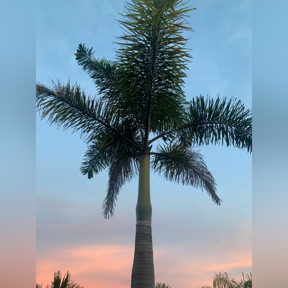 Meet your Posher, Kristina - Picture 2 of 3